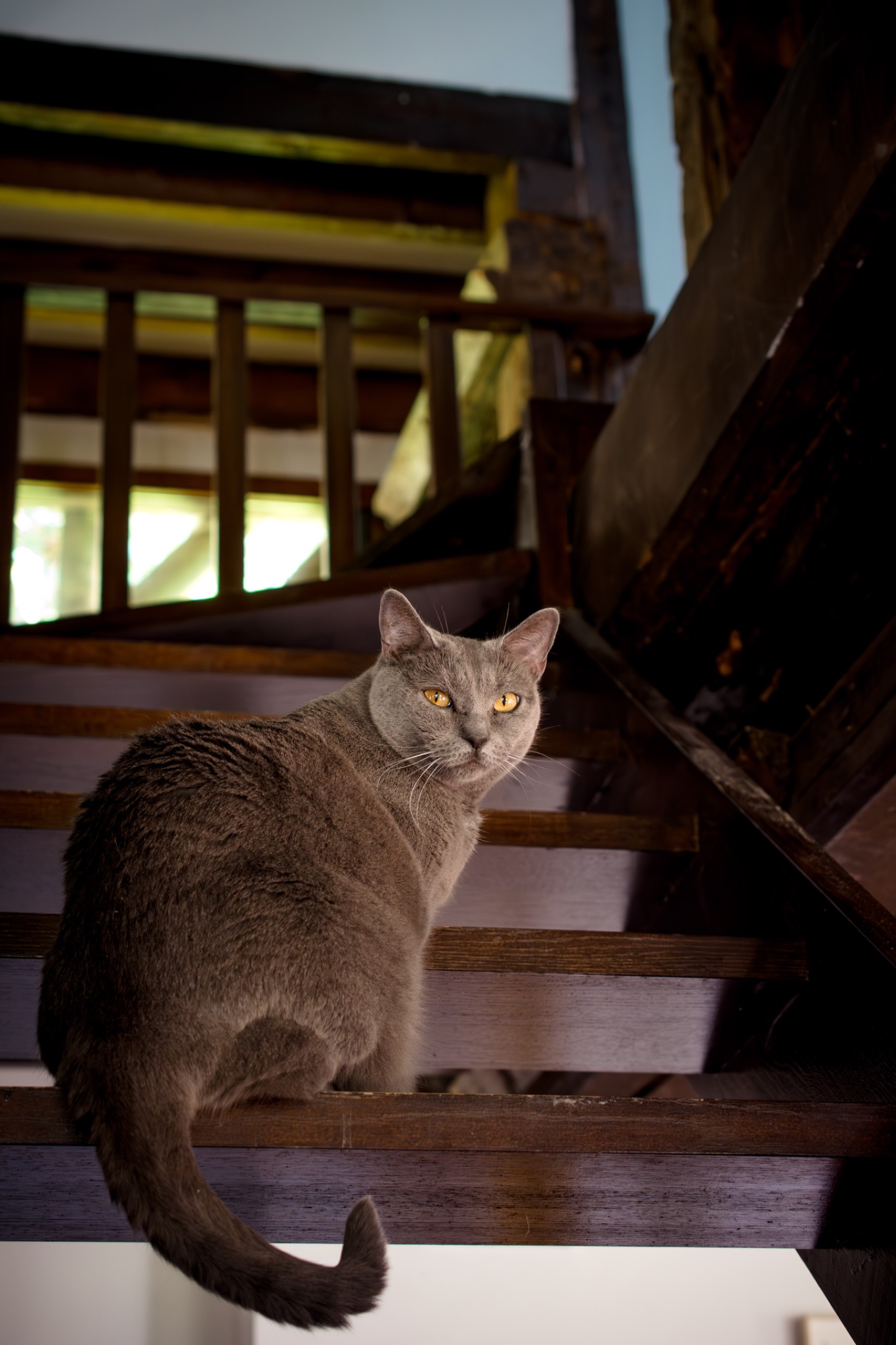  N5C6290 Avec accentuation Bruit 1